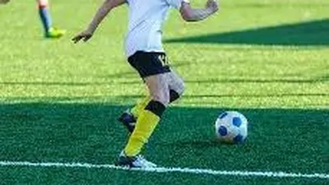 乐鱼体育 资讯 175159 ht8