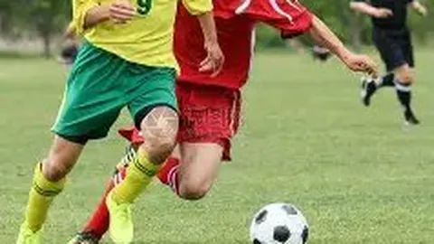 乐鱼体育 资讯 175235 oia