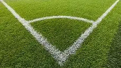 乐鱼体育 资讯 175300 98m