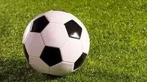 乐鱼体育 资讯 175325 le6